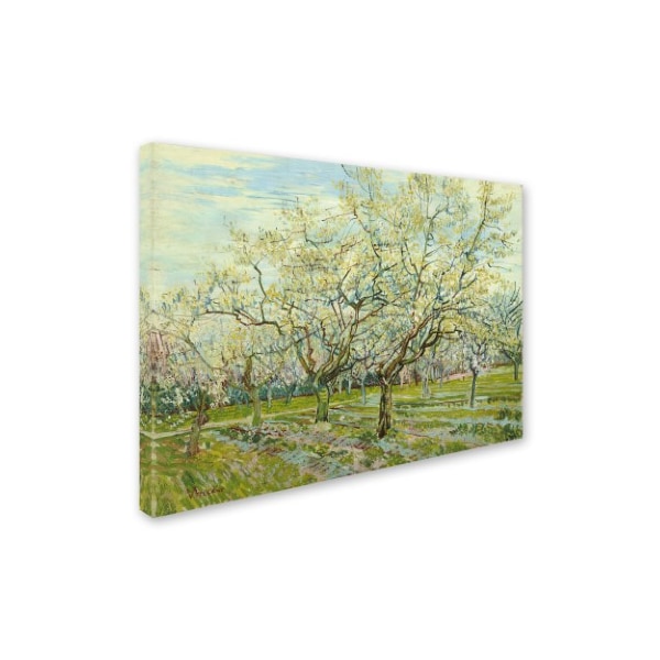 Van Gogh 'The White Orchard' Canvas Art,14x19